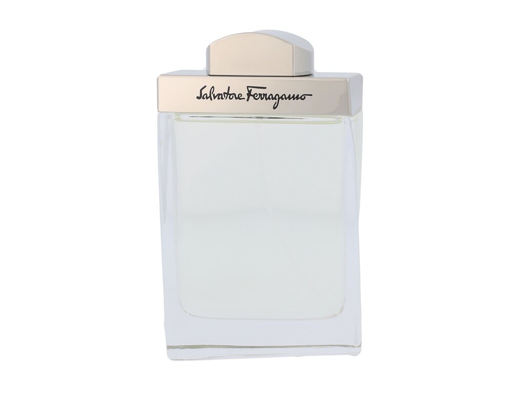 Woda toaletowa Salvatore Ferragamo Pour Homme 100ml-0